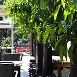Hotel Kosa Boutique