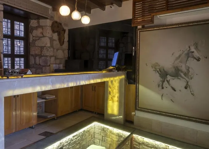 Hotel Kosa Boutique 3*