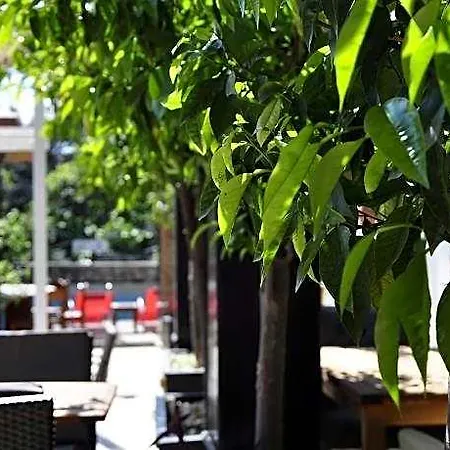 Hotel Kosa Boutique Antalya
