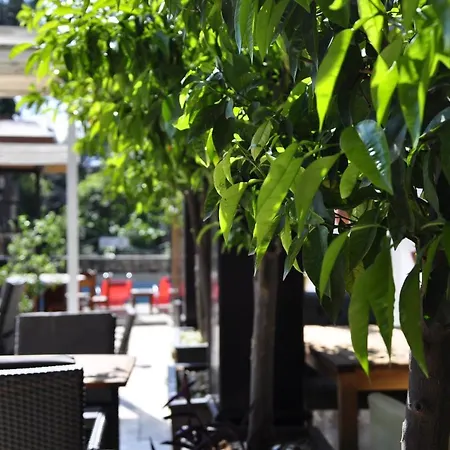 Отель Kosa Boutique