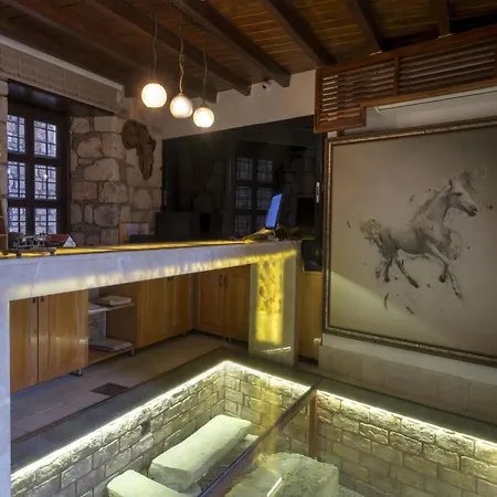 Отель Kosa Boutique 3*